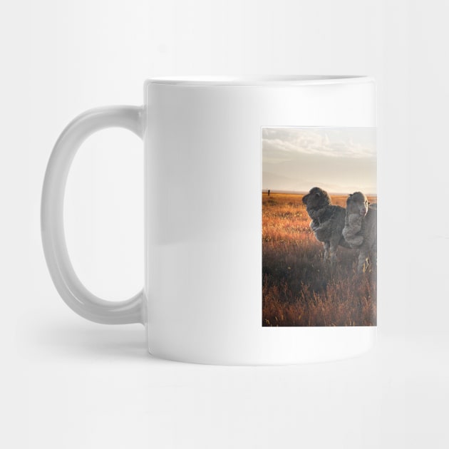 Merino Sheep in the Sunset by kawaii_shop